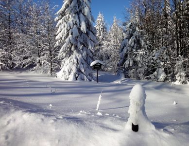 Lübecker Literaturtreffen 24.01.2026