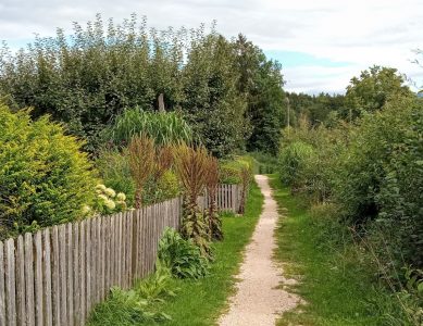 Abseits Stipendium 2026